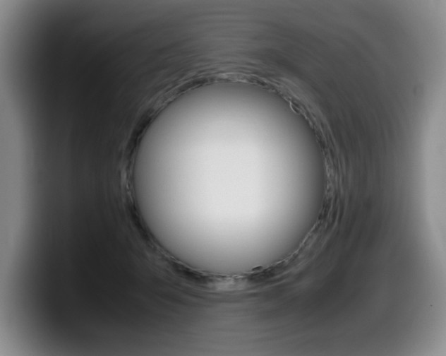 X0000099470415200805090817