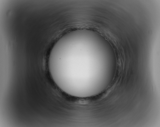 X0000099470416200805090817
