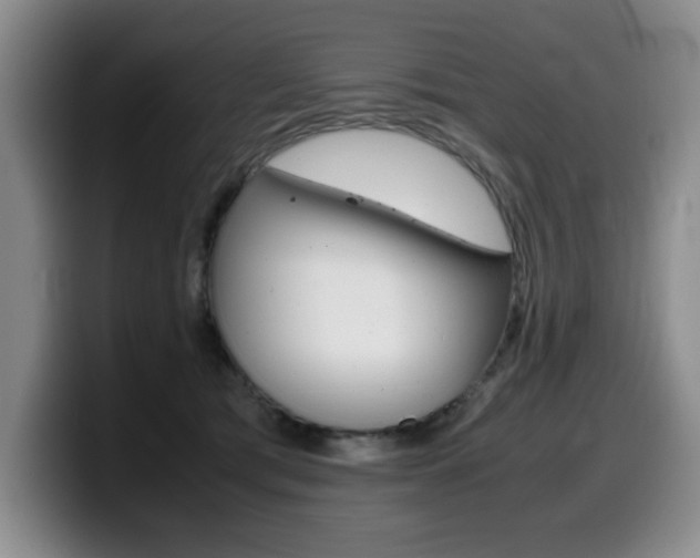 X0000099470417200805090817