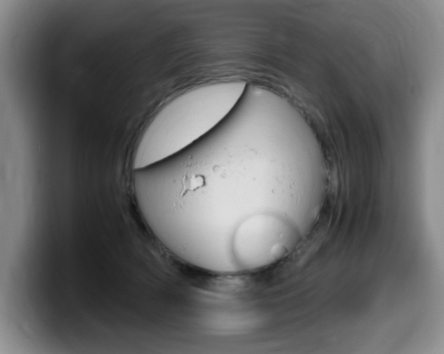 X0000099470418200805090817