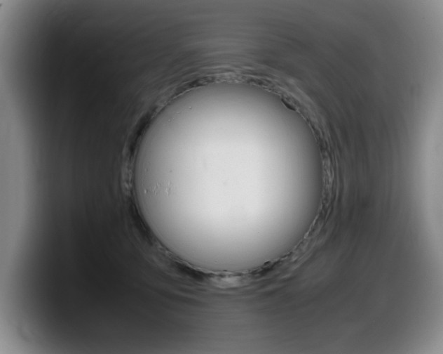 X0000099470419200805090817