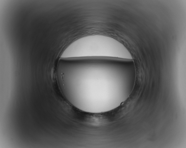 X0000099470420200805090817