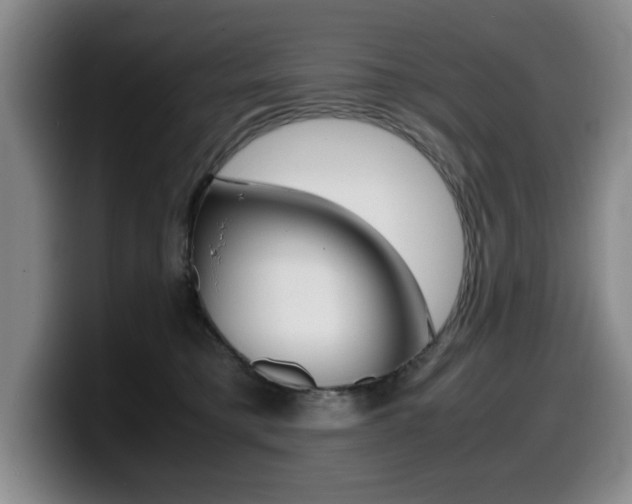 X0000099470421200805090817