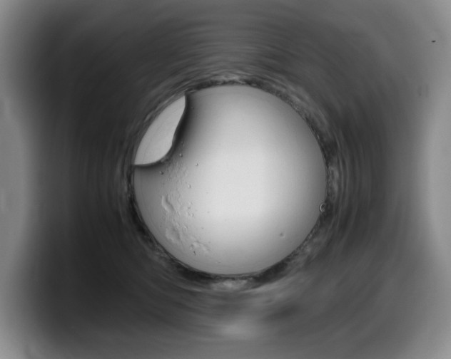 X0000099470422200805090817