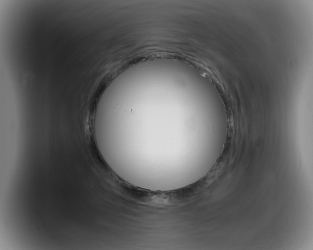 X0000099470423200805090817