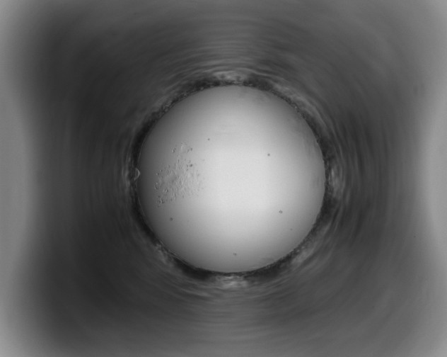 X0000099470424200805090817