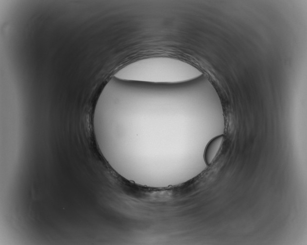 X0000099470426200805090817