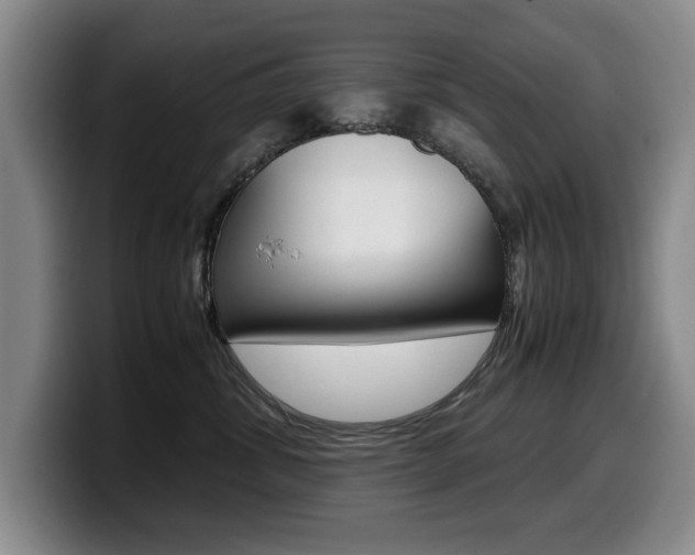 X0000099470428200805090817
