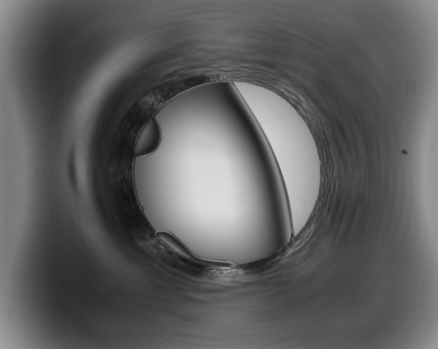 X0000099470429200805090817