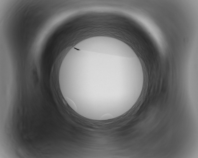 X0000099470431200805090817