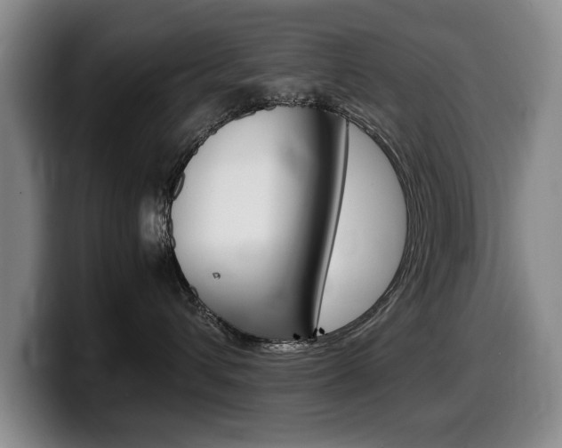 X0000099470432200805090817