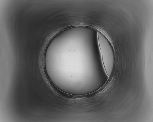 X0000099470433200805090816