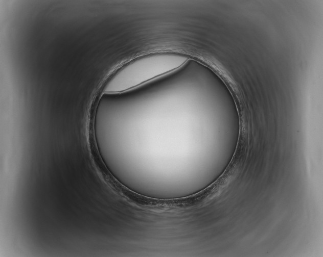 X0000099470434200805090816