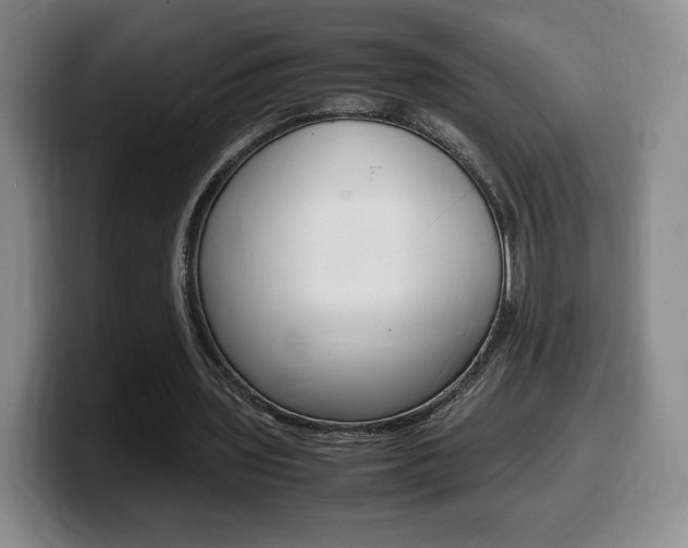 X0000099470435200805090816