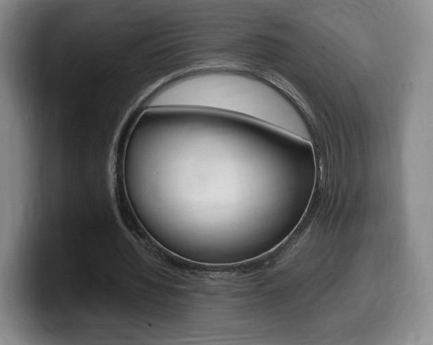 X0000099470436200805090816