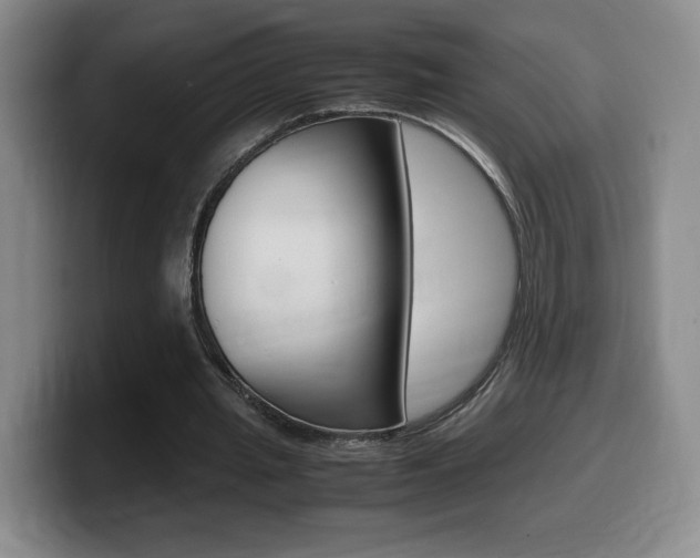 X0000099470437200805090816