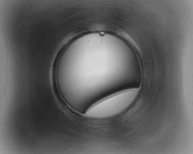 X0000099470439200805090816