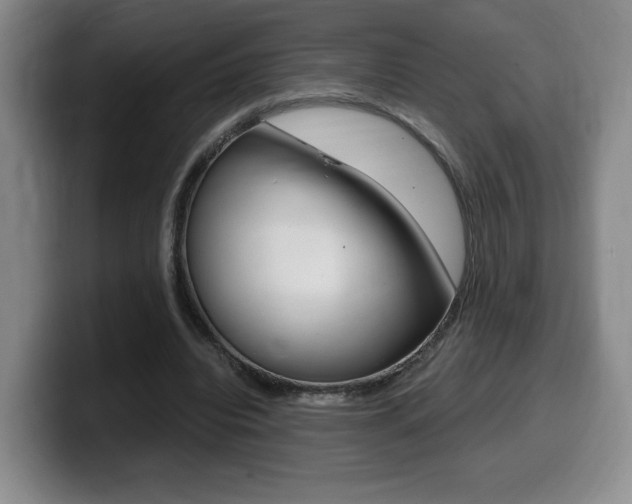 X0000099470440200805090816