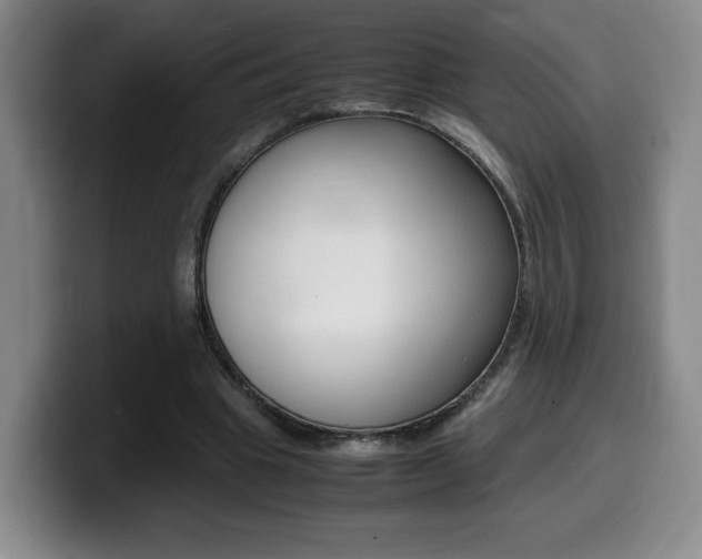 X0000099470441200805090816