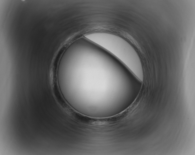 X0000099470444200805090816