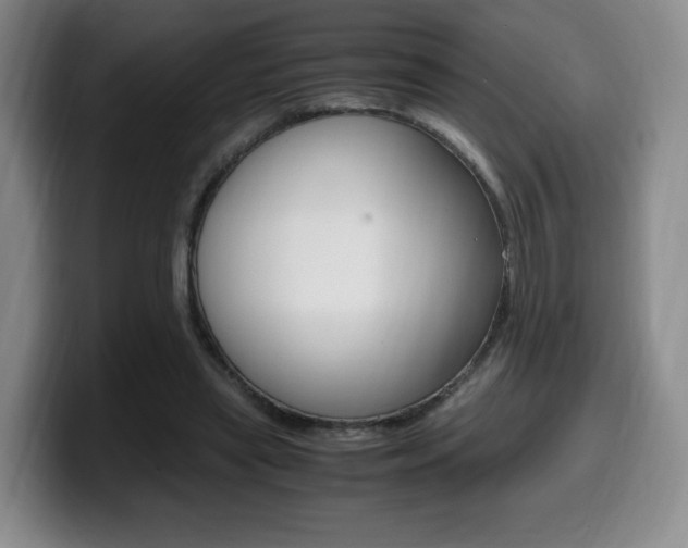 X0000099470445200805090816