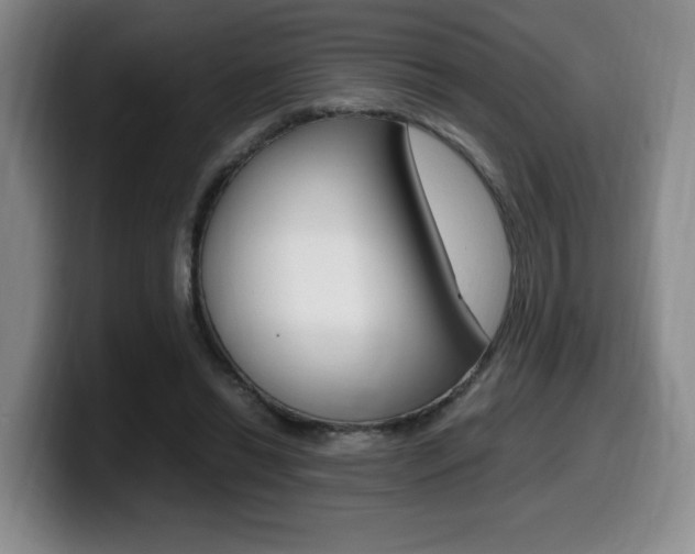 X0000099470446200805090816