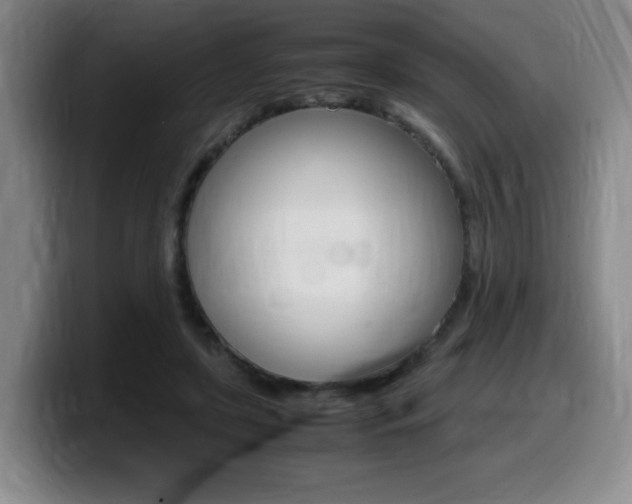 X0000099470451200805090817