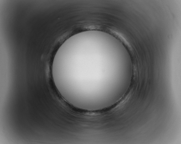 X0000099470453200805090817