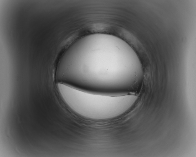 X0000099470454200805090817