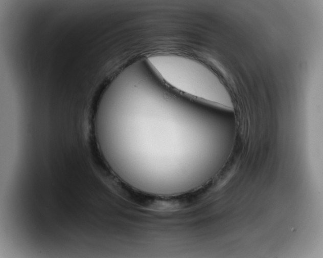 X0000099470455200805090817