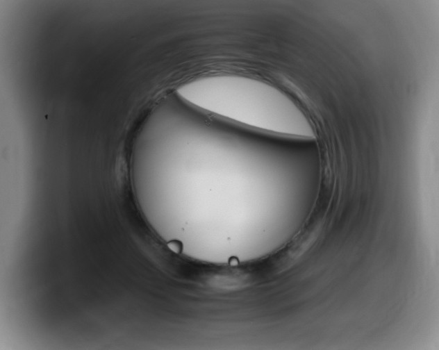 X0000099470459200805090817