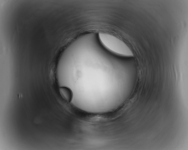 X0000099470460200805090817
