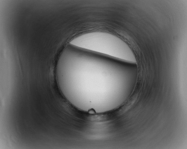 X0000099470461200805090817