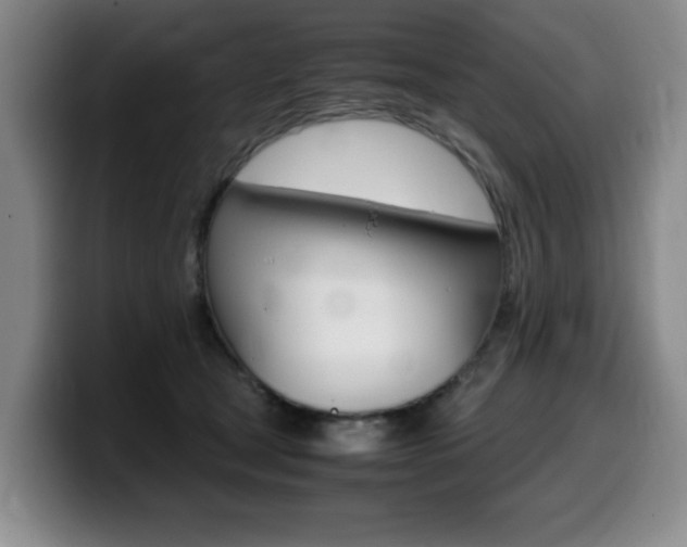 X0000099470465200805090817