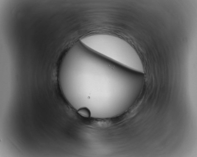 X0000099470466200805090817