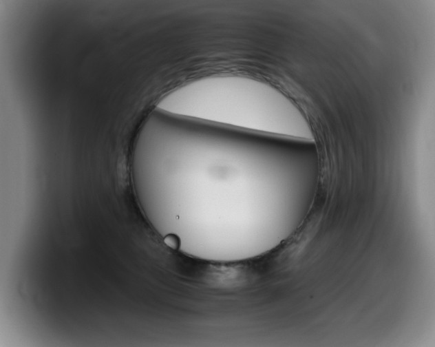 X0000099470469200805090817