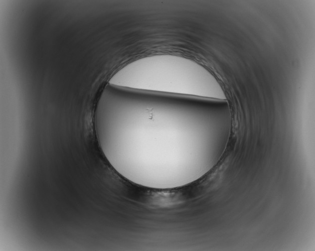 X0000099470473200805090817