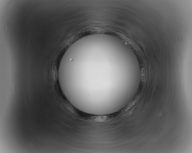 X0000099470474200805090817