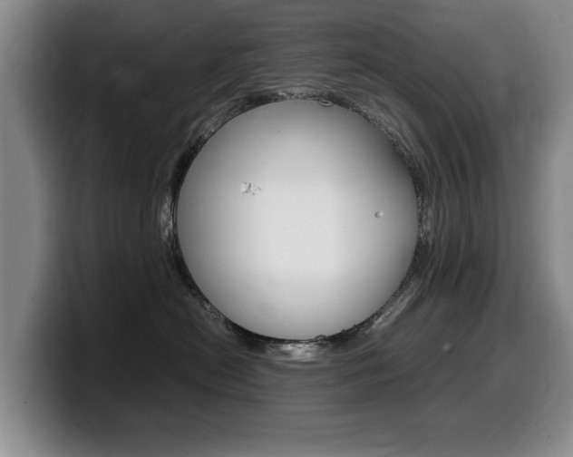 X0000099470478200805090817