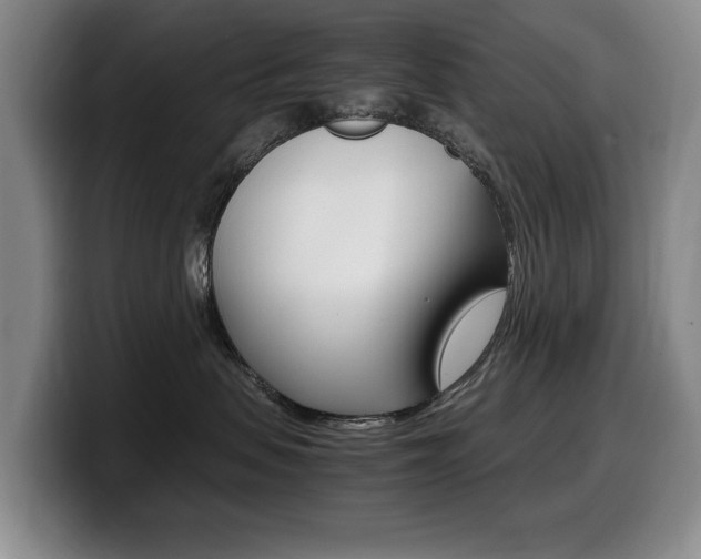 X0000099470479200805090817