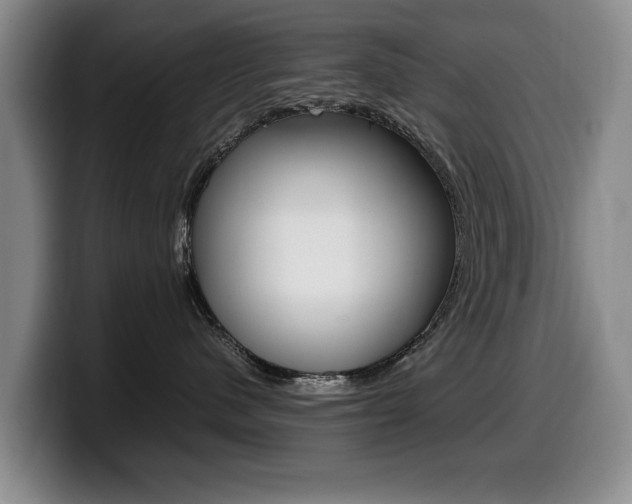 X0000099470480200805090817