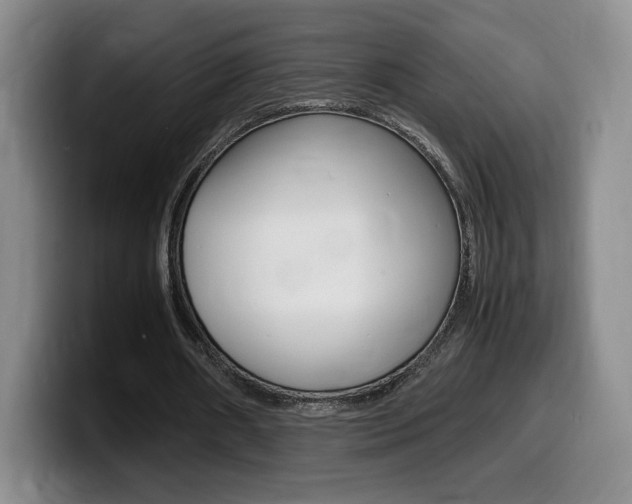 X0000099470482200805090816