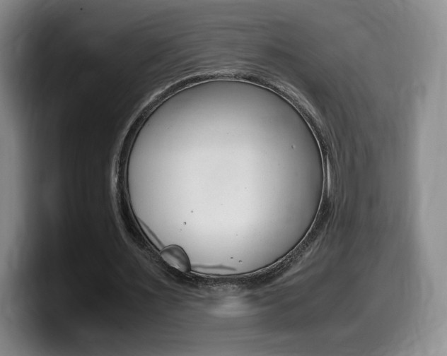X0000099470483200805090816