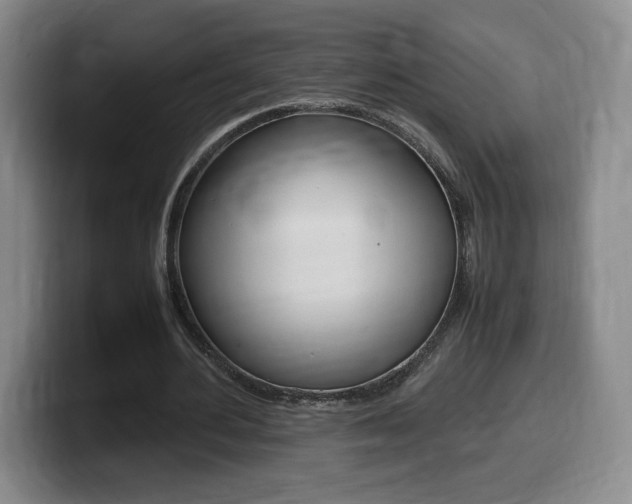 X0000099470484200805090816