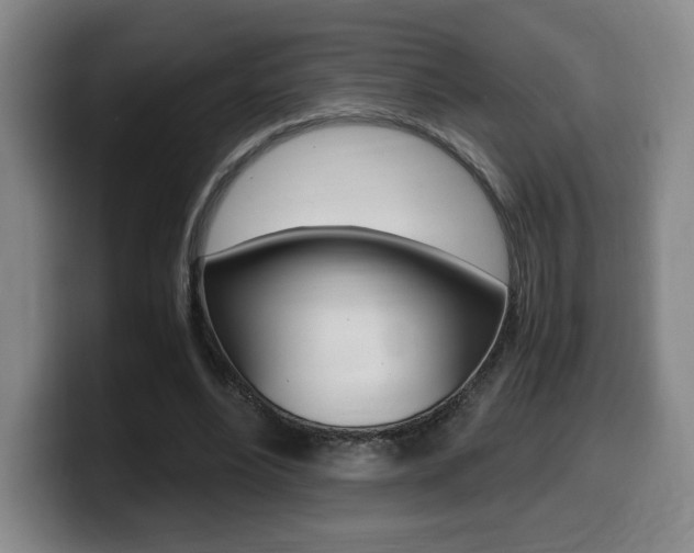 X0000099470488200805090816