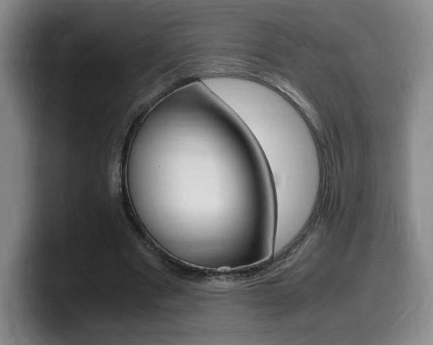 X0000099470489200805090816