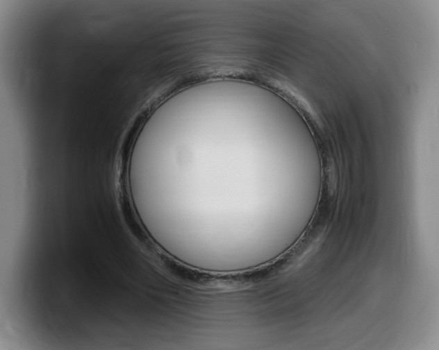 X0000099470490200805090816