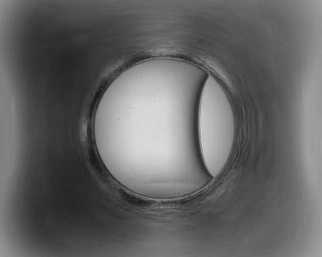 X0000099470491200805090816