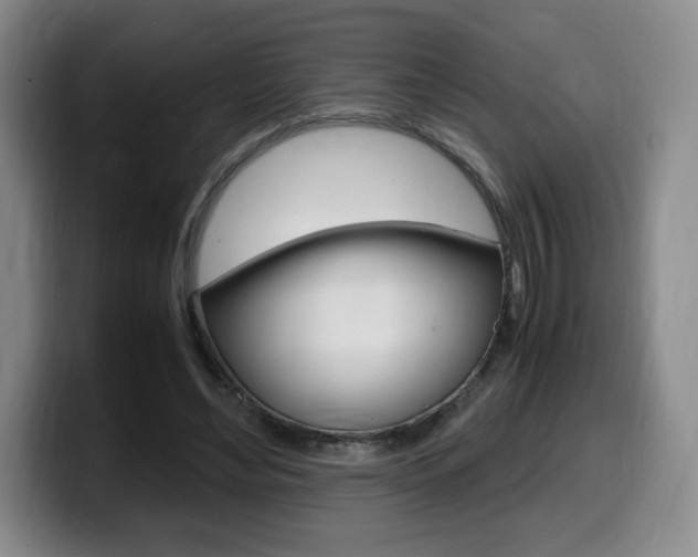 X0000099470492200805090816