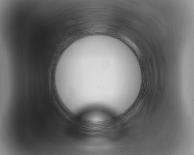 X0000099470493200805090816